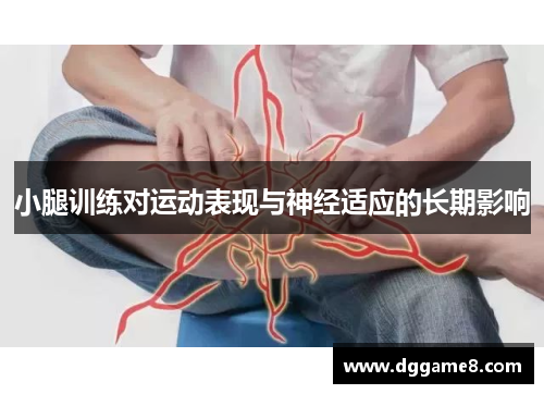小腿训练对运动表现与神经适应的长期影响