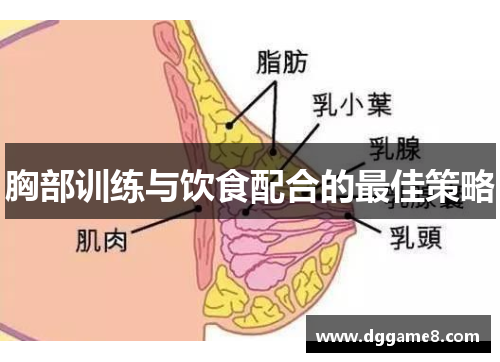 胸部训练与饮食配合的最佳策略