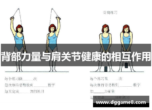 背部力量与肩关节健康的相互作用